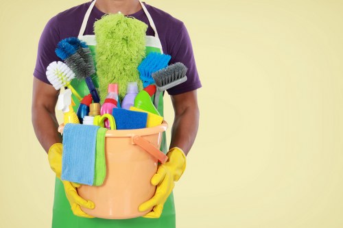 Professional carpet cleaning in a Soho apartment interior