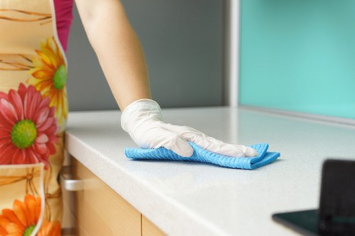 Detailed kitchen and bathroom cleaning for a Soho home