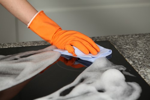 Specialist carpet cleaning equipment used for pet stain treatment in Soho