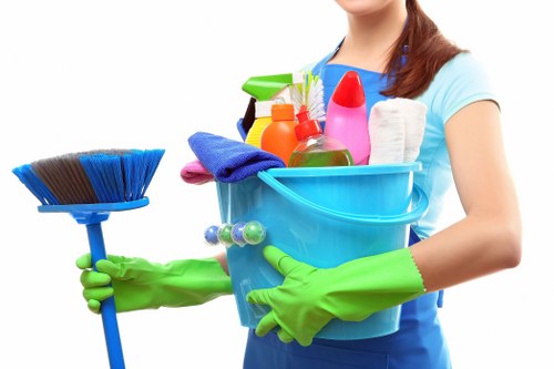 Bathroom and kitchen regular cleaning in Soho property