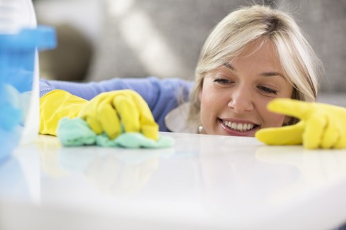 Deep cleaning of an oven door and interior in Soho