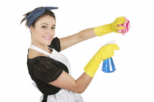 Inspection of a carpet cleaning issue after service