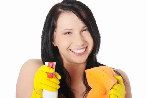 Thorough deep cleaning in Soho with focus on hard-to-reach areas and surface detail