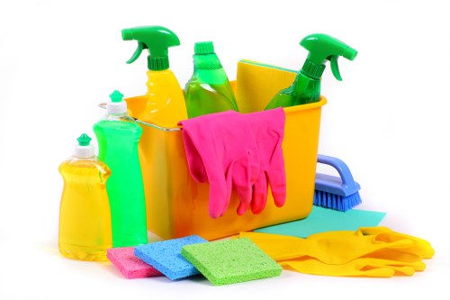Professional gutter cleaning service for Soho residential and commercial premises